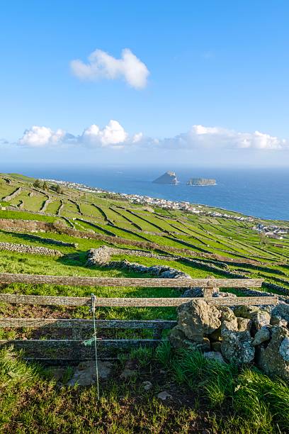 Lush Green Terraced Fields Overlooking the Atlantic Ocean and Ilheus das Cabras on Terceira Island, Azores. Coastal Landscape, Traditional Stone Walls. Perfect for travel brochures, landscape