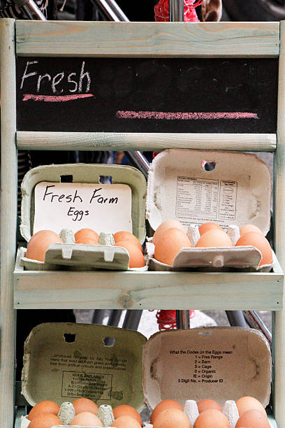 Cartons of Farm Eggs on Wooden Shelf