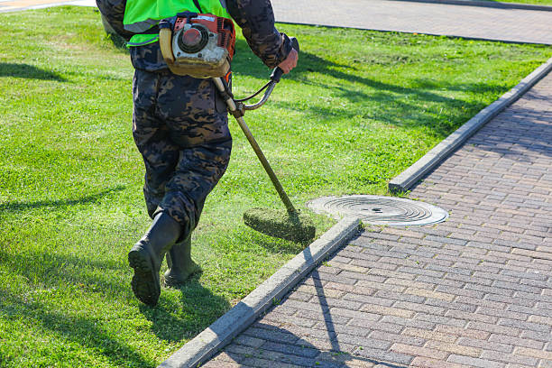 istock A man in a green vest is using a lawn mower to cut the grass 2220674103