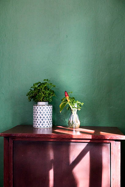istock Green Wall with Potted Plants and Afternoon Light 2220675099