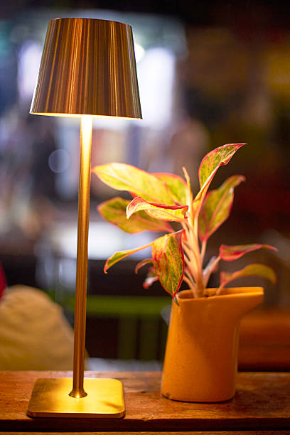 istock Lamp and Plant on Bar Surface 2220675102