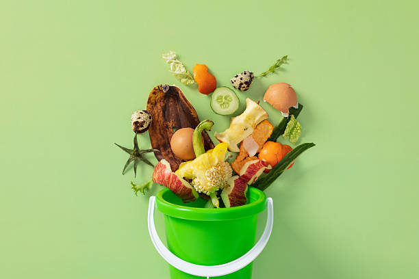 istock Organic food waste for composting in green bin on light background 2220682202