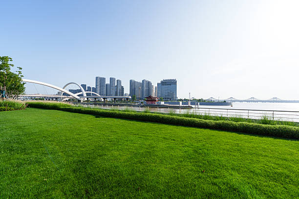 istock Green grass at sunset in city park 2220683453