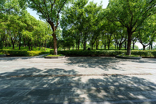 istock road in city park 2220683911