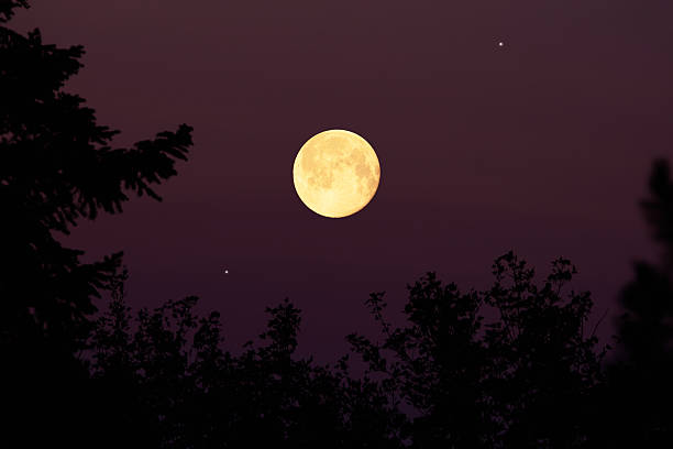 istock Full Moon with stars, planets and rural countryside tree silhouettes. 2220689829