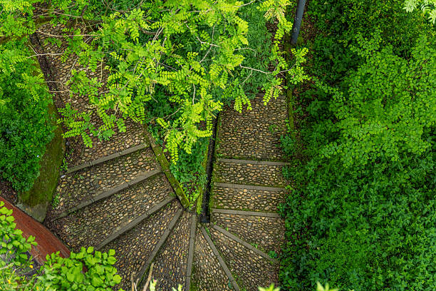 Aerial view of a curved cobblestone path with steps, surrounded by dense vegetation in a lush forest.