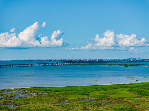 istock summer landscape with lake 2220692243