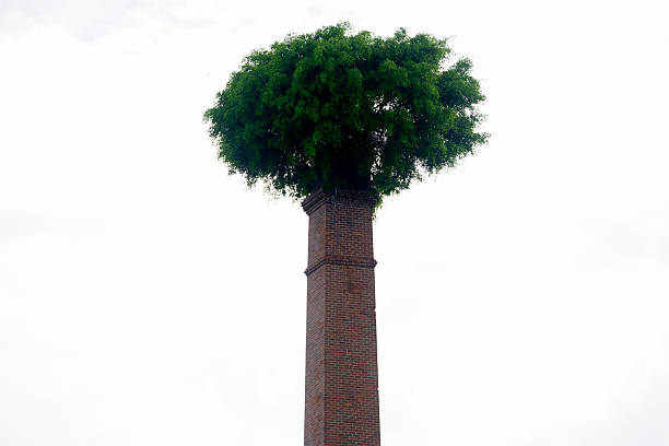 An intriguing scene featuring a vibrant green tree thriving atop an old brick chimney, symbolizing urban nature and creative resilience.