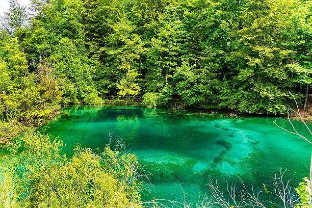 Two turquoise lakes nestled among bright green trees, viewed from a high angle. The lakes have a soft gradient of color, and the forest wraps around them in a natural circular formation.