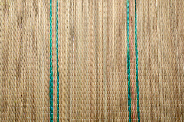 Closeup of the plot used in baskets by Guarani Indians in southern Brazil