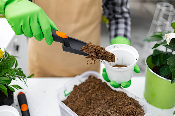 istock Gardener Planting in a White Pot 2220700740