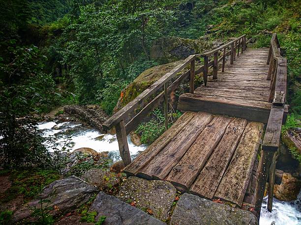 istock wooden bridge over a stream 2220704124