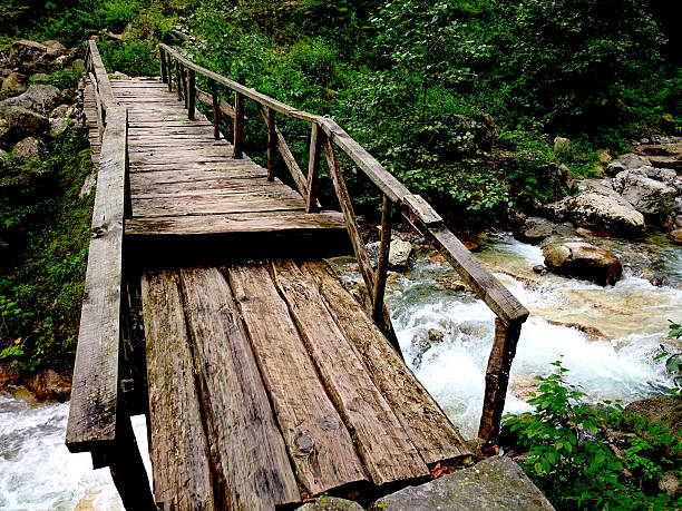 istock wooden bridge over a stream 2220704126