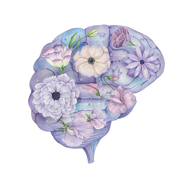 istock Watercolor illustration of a blooming human Brain with flowers 2220704379