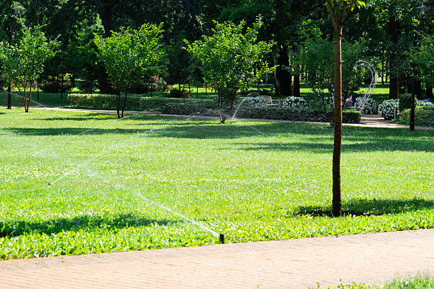 istock Garden irrigation system lawn. Automatic lawn sprinkler watering green grass. Selective focus 2220707884