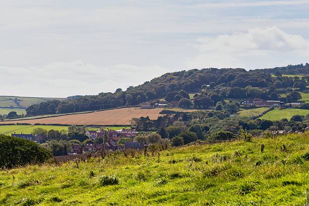 istock A landscape shows rolling green hills leading to a tree-covered ridge under a cloudy sky. 2220708751