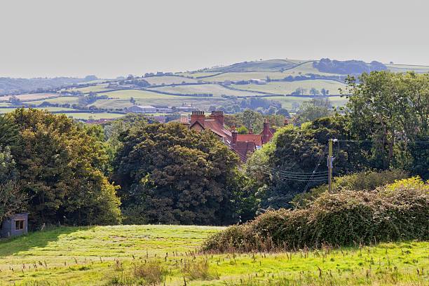 istock A lush green landscape unfolds with trees in the foreground and rolling hills 2220708780