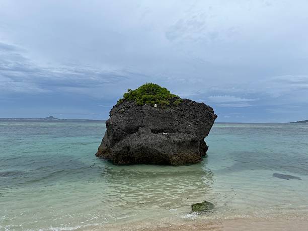 istock The view of Sesoko beach 2220711228