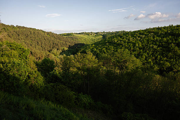 A wide-angle view of a green valley surrounded by dense forest and hills