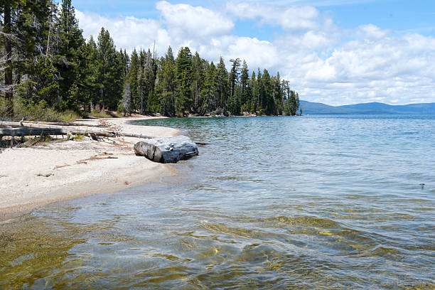 istock Sugar Pine Point Beach on Lake Tahoe with its beach, pine trees, and beautiful clear water. 2220712663