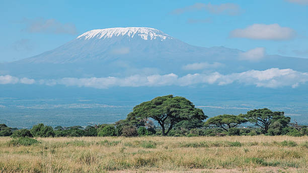 istock Majestic Mount Kilimanjaro towering over African savannah with tree in foreground 2220716112