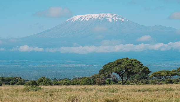 istock Majestic Mount Kilimanjaro 2220717244