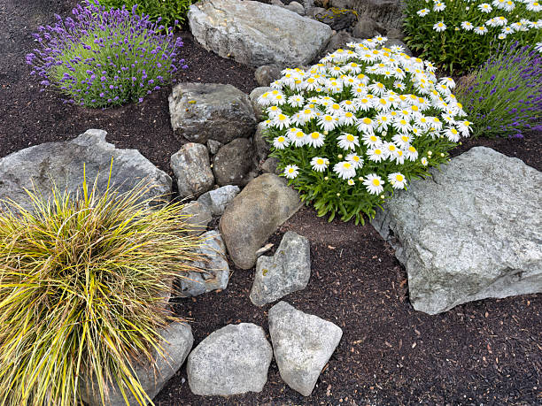 istock Dry stone river flowerbed garden with various flower and grass plants during late spring 2220723064