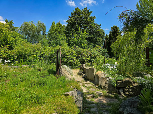 istock Botanical Paradise Lush Garden Splendor 2220726933