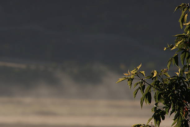 The fog lifts as the sun comes up in the valley near the hay field.
