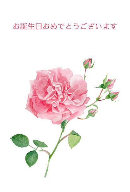 istock Birthday card with pink roses illustration in watercolors 2220732927