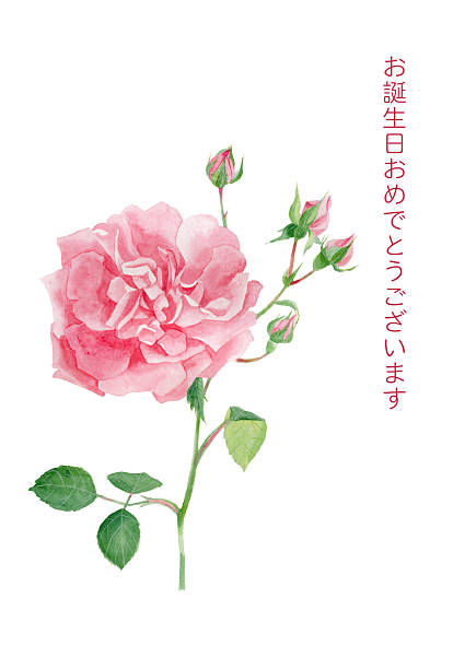 istock Birthday card with pink roses illustration in watercolors 2220732934