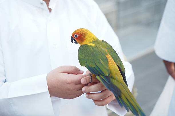 A vibrant parrot rests on a man's hand at a social event outdoors.