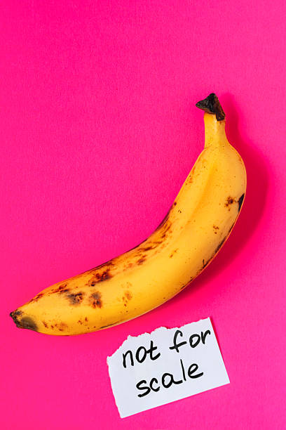 istock Banana lying next to a torn paper note reading not for scale, colorful pop art style with visual pun. 2220737779