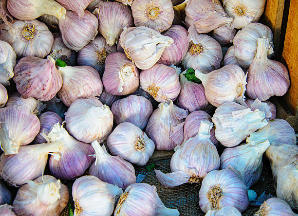 Bulbs of fresh, local garlic in a wooden crate at a weekly farmers' market on Cape Cod in mid June.