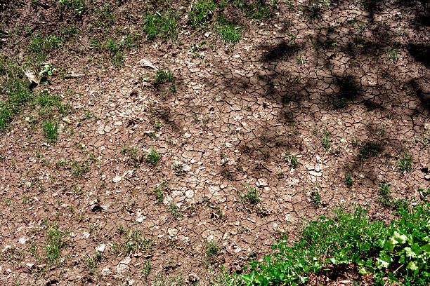 istock Cracked parched earth without water. 2220750216