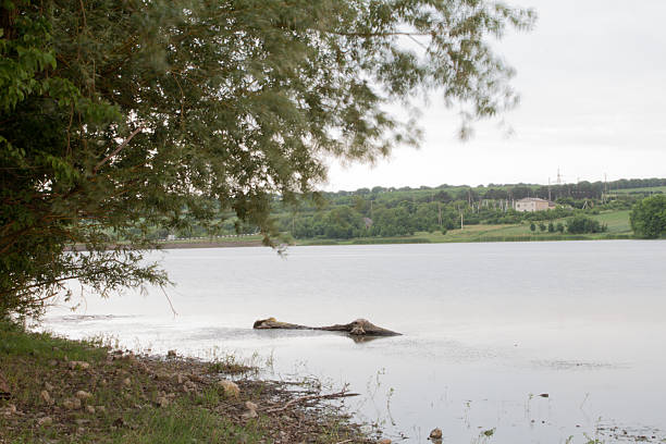 Man fishing
