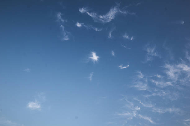 High altitude cirrus clouds scattered across a clear blue sky. This light and airy cloud formation is ideal for backgrounds, weather themed visuals and nature focused digital designs.