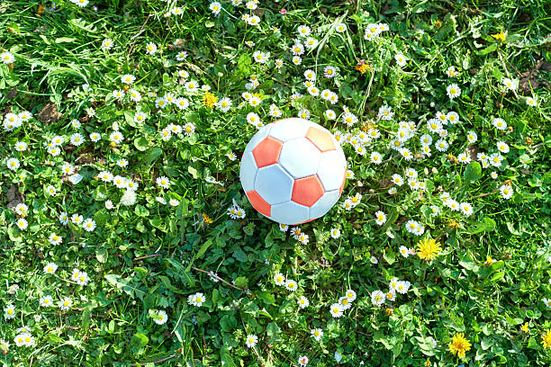 A charming garden scene featuring an array of flowering plants including Persicaria amplexicaulis and Echinops bannaticus. A soccer ball rests on the grass, giving a playful juxtaposition against the serene garden setting.