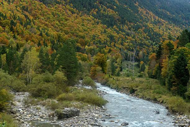 istock Ara River through the Bujariego Valley, in Ordesa. Spain 2220759949