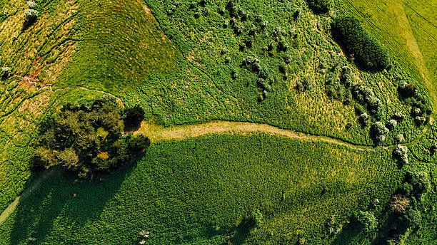Colmer's Hill near Bridport, Dorset