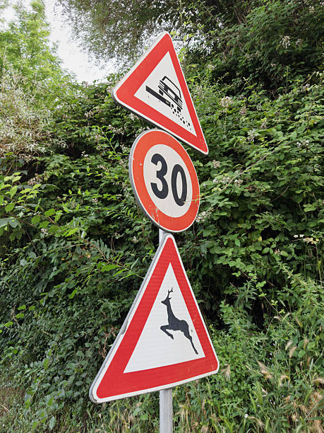 istock Road Signs: Skid Hazard, Speed Limit, Animal Crossing 2220761901