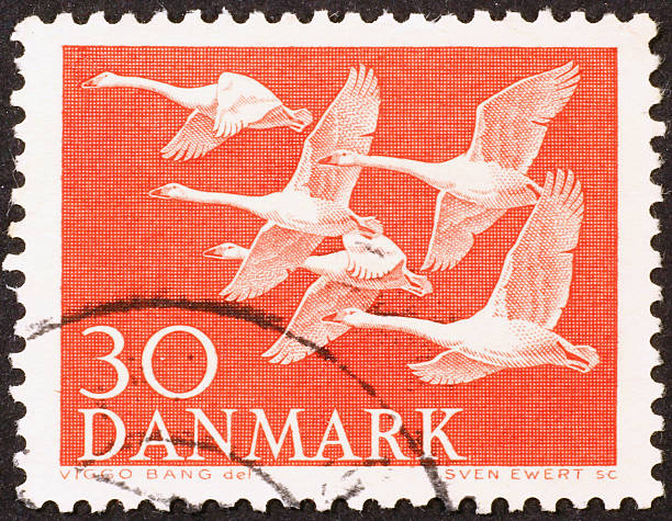 istock Flying swans on a danish vintage stamp 2220764277