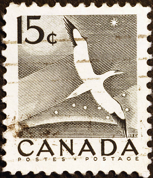 istock Flying gannet on vintage canadian postage stamp 2220764307