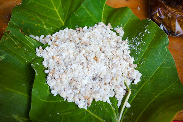 Many thai insects larvae food in green leaf
