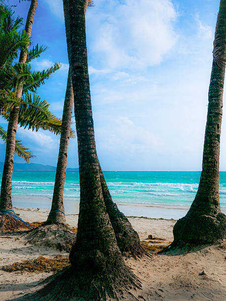 istock Boracay beach in the Philippines with turquoise waters 2220775948
