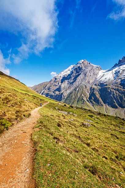 Mountain hiking trail in swiss alps near Engelberg, view on snowcapped summits, blue sky, sunny scene