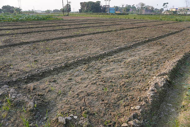 istock The ploughed field is getting dried due to less water 2220779054