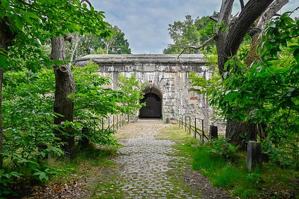 istock Ancient stone entrance in lush forest 2220780906