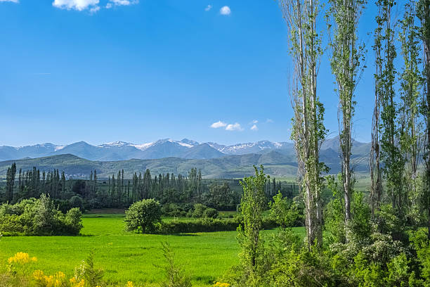 istock Green valley and snowy mountains under blue sky. 2220781648