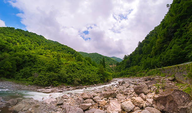 istock Mountain river flowing through lush beautiful green valley. 2220781649